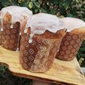 El cooksnap de Candela HAEDO cuando hizo Pan dulce navideño.