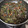 El cooksnap de Claudia Rojas cuando hizo Cuitlacoche con chile poblano.