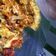 Cooksnap dari Shundari Dee untuk resep Menemen (Turkish Food)