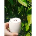 کوک اسنپ نبات✨ بعد از امتحان کردن فراپه نارگیلی.