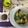 Cooksnap dari Juliana Joplin untuk resep Tekwan Palembang