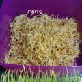 Cooksnap dari Renny untuk resep Kentang mustofa
