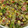 El cooksnap de Fabio Camacho Hernández cuando hizo Ensalada de quinoa con aderezo de comino.
