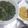 Cooksnap dari nina rochim untuk resep 26. Bobor daun singkong