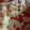 lea.tungala's cooksnap of when they made Simple Apple Cake.