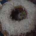 Cooksnap dari Anselun Mandagi untuk resep Kue Srikaya