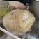 Cooksnap de Victoria Hind sur la recette Pâte sablée