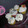 El cooksnap de Jaifa Zaidi cuando hizo Cupcakes de turrón.