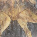 El cooksnap de Ramon Alberto Duarte cuando hizo Pollo a la parrilla.