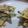 Cooksnap dari Lauren Rhein untuk resep Dadar Bayam