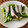 El cooksnap de Patricia Quiroga Newbery cuando hizo Tapa de sardinillas en aceite.