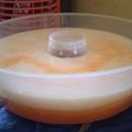 Cooksnap dari Ree untuk resep Puding Mangga Susu