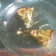 Trella Pascual's cooksnap of when they made Easy Quiche with Spinach and Bacon.