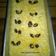Cooksnap dari Novia Diana Ayu Wulandari untuk resep Roll Cake Putel