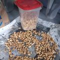 Cooksnap dari Khayla Adelia untuk resep Kacang Bawang Empuk renyah