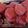 Maryam's Cuisine 's cooksnap of when they made Red velvet cake.