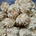 Cooksnap dari Bunda Arfa untuk resep Cookies sagu keju lumer