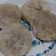 Cooksnap dari Feronika Nicken untuk resep Cireng Krispy anti gagal
