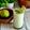 Vaishali Suhas 's cooksnap of when they made Pear Lassi (Babugosha).