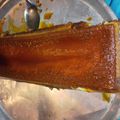 El cooksnap de Maria Rojas cuando hizo Budín de pan en licuadora.