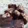 Cooksnap dari B. D. Ayu Tania untuk resep Brownies kukus chocolatos🍫🍰
