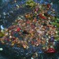 Cooksnap dari Ulfah Maulida Oktaviyani untuk resep SAMBEL KOSEK