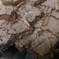 El cooksnap de Bárby Madero cuando hizo Brownies Copacabana. 🍫.