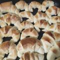 El cooksnap de ani cuando hizo Medialunas Fáciles!.