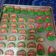 Cooksnap dari Umy Ambar untuk resep Watermelon Cookies (kuker Semangka), 3 bahan, no mixer #Pr_kueKering