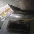Cooksnap dari Uswa Asa untuk resep Pennylane Brownies
