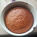 El cooksnap de Julieta Muñoz cuando hizo Ponque de cambur🍌🍌🍌.