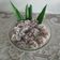 Cooksnap dari Tetty Kusdinar untuk resep Ongol Ongol Sagu
