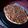 El cooksnap de Violetita cuando hizo Pizza casera al horno o parrilla.
