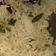  Chef Richa pathak. का कुकस्नैप जब उन्होंने मटर पुलाव (Matar pulao recipe in hindi) बनाया था।