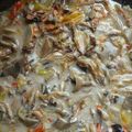 Cooksnap dari Cholif Harjono untuk resep Lodeh jantung pisang-teri