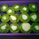 Cooksnap dari Resep simple bunda titi untuk resep 380.Kue Nona Manis