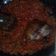 Cooksnap dari Lissa Tovik untuk resep Sambal mercon