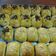 Cooksnap dari BundaChika Vicky Muchtar untuk resep Pisang Bolen