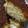 El cooksnap de Sol Maru cuando hizo Torta invertida de manzanas.