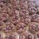 Cooksnap dari Surya Febrina untuk resep Brownies cup kering