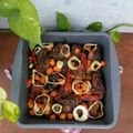 Cooksnap dari Alinett_cooknfood untuk resep Ayam Panggang Suka-Suka