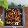 Cooksnap dari Alinett_cooknfood untuk resep Ayam Panggang Suka-Suka