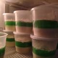 Cooksnap dari Hehehe untuk resep Puding Busa Pandan Vla Keju