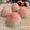 Cooksnap dari Adelia Firdaus untuk resep Thousand Layer Mooncake ala mom Juni Dwi Anggiani