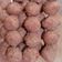 Cooksnap dari Dianmita Sarasanti untuk resep Isian bakpao kacang merah tanpa kulit
