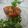 parita ganatra's cooksnap of when they made બટેટાનું રસાવાળું શાક.
