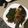 Idah Salma's cooksnap of when they made Fried fish.