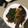 Idah Salma's cooksnap of when they made Fried fish.