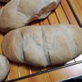 El cooksnap de Perozo Jose cuando hizo Pan canilla.
