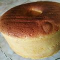 Cooksnap dari putri meylinda sari untuk resep Bolu Panggang Super Lembut (anti gagal)